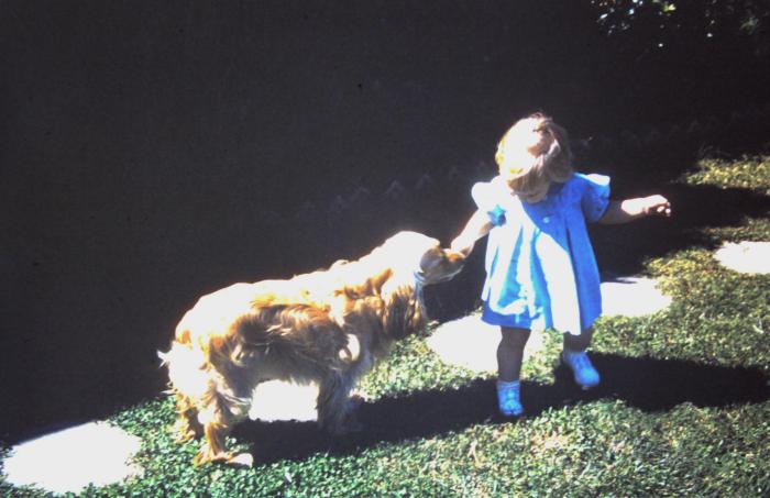 4-19-2015 16-23-30_013