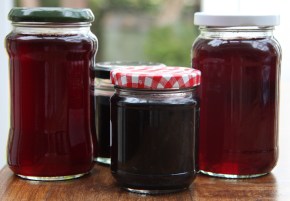 redcurrant-jelly-and-blackberry-jelly